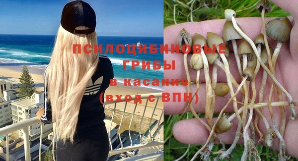 ALPHA PVP Верхний Тагил