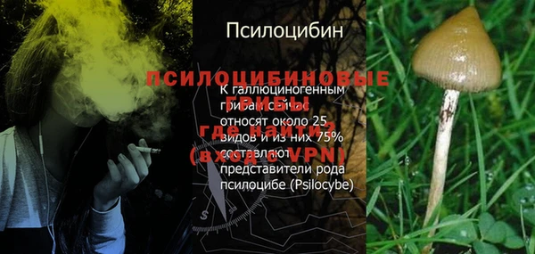 бошки Вяземский
