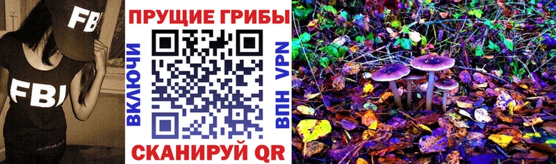 Галлюциногенные грибы Cubensis  Купить закладки  Нижняя Салда 